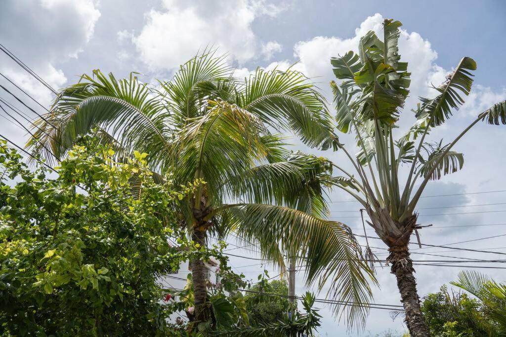 Villa Caribe Bayahibe Bagian luar foto