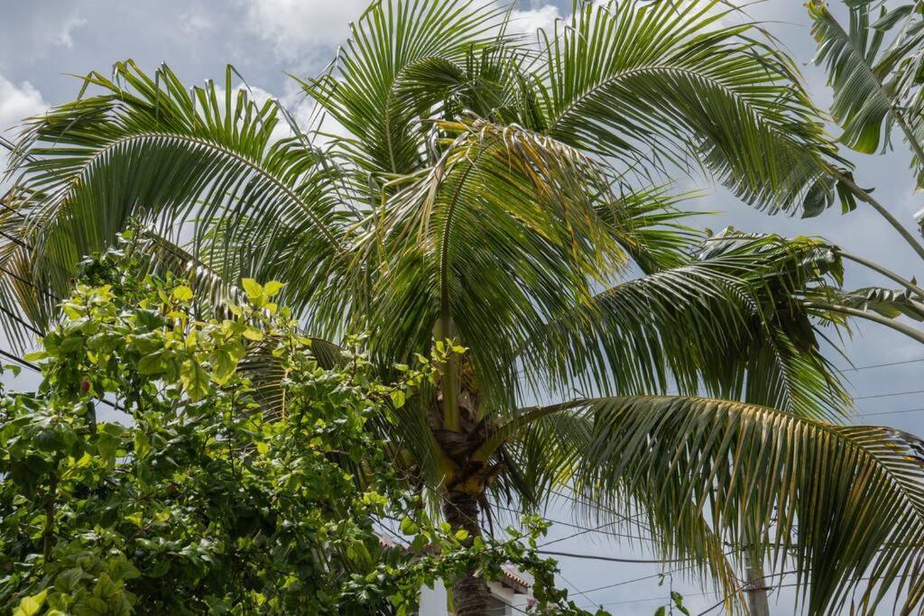 Villa Caribe Bayahibe Bagian luar foto